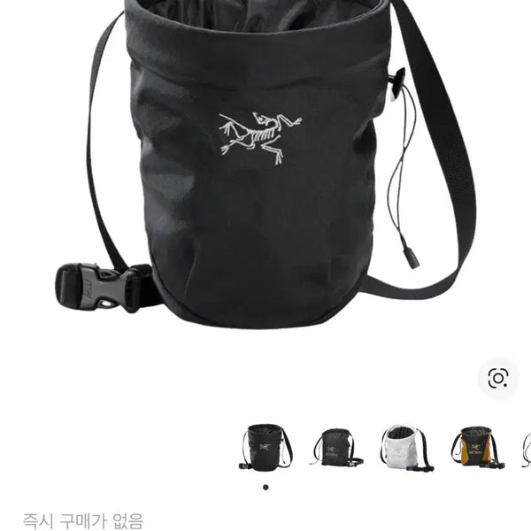 [BUNJANG] Arc'teryx Ion Chalk Bag Large Black / 아크테릭스 이온 초크백 라지 블랙 (새상품)