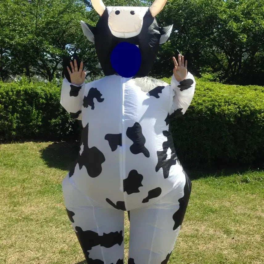 [BUNJANG] Cow Air Suit Costume Rental / 젖소 에어슈트