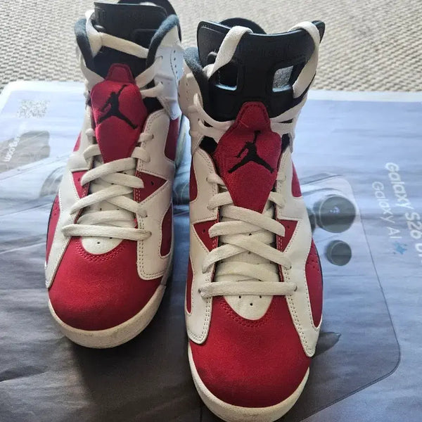 [BUNJANG] Nike Air Jordan 6 Retro Carmine / 나이키 에어 조던 6 레트로 카마인(CT8529-106)