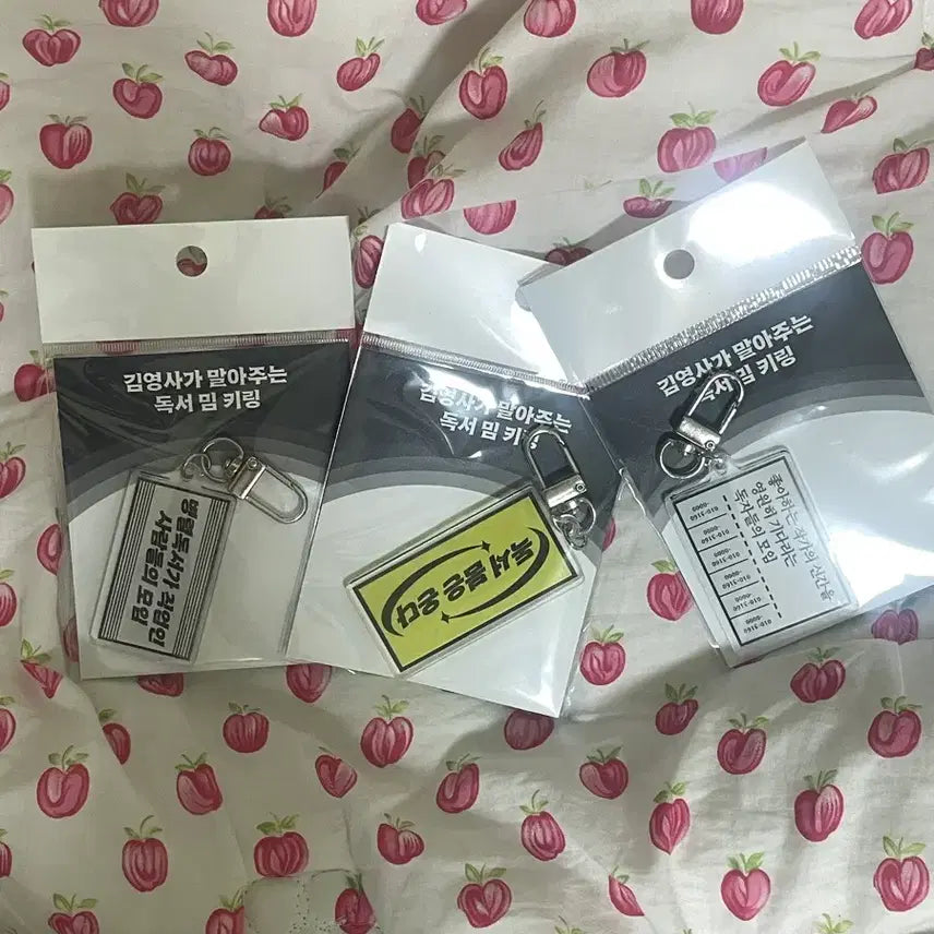 [BUNJANG] Kim Young Sa Reading Meme Keychain Bundle Set (Sealed) / 김영사 독서 밈 키링 미개봉 일괄
