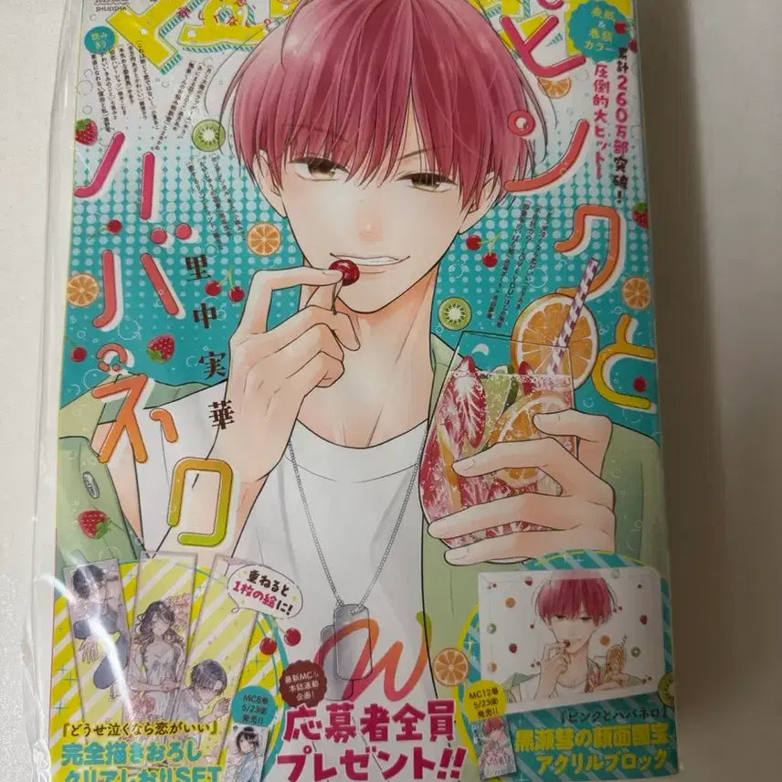 [BUNJANG] Margaret Pink and Habanero Shōjo Manga Magazine / 마가렛 핑크와 하바네로 순정만화잡지