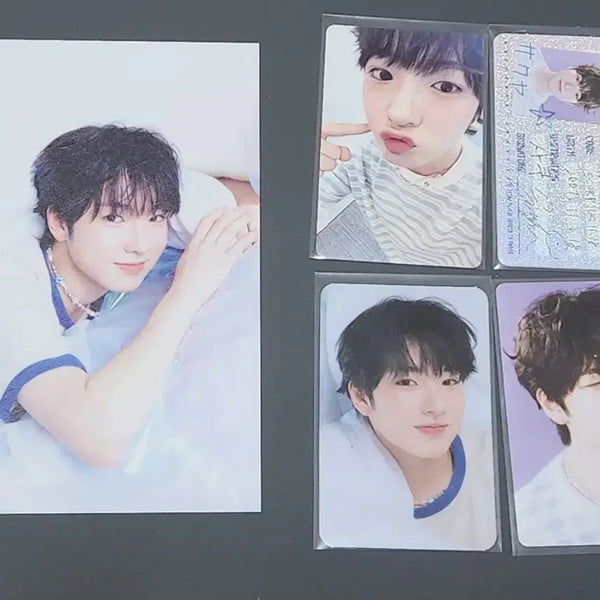 [BUNJANG] NCT WISH Sakuya 2025 Season's Greetings Yes24 POB Photocard / 엔시티위시 사쿠야 2025 시즌그리팅 예사 특전 시그 포카
