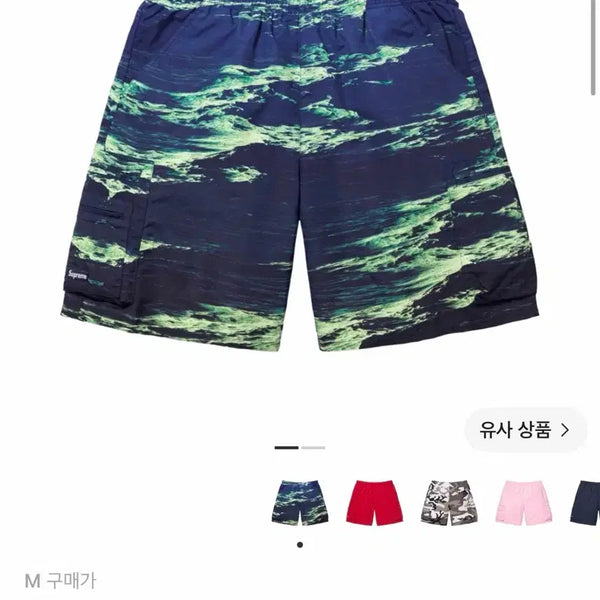 [BUNJANG] Supreme Cargo Water Shorts / 슈프림 카고 워터 쇼츠