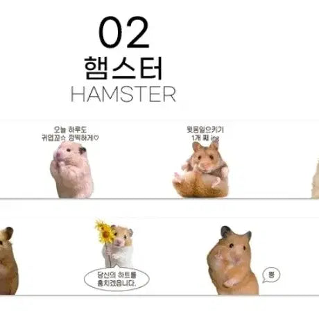 [BUNJANG] Demimood Hamster Meme Washi Tape / 데미무드 햄스터 밈 마테