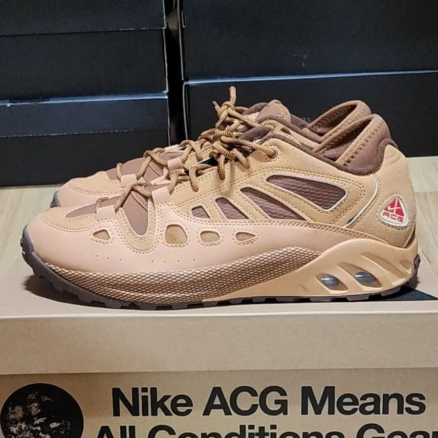 [BUNJANG] Nike ACG Exploraed "Doernbecher" "Dunkin Donuts" Sneakers / 나이키 280 ACG 익스플로레이드 된장 코코아