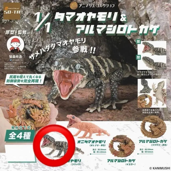 [BUNJANG] SO-TA Rough-snouted Lizard & Armadillo Lizard Vol. 2 Gacha Figure - Black Rough-snouted Lizard / SO-TA 러프납테일&아르마딜로 도마뱀2탄 가챠  블랙러프납테일