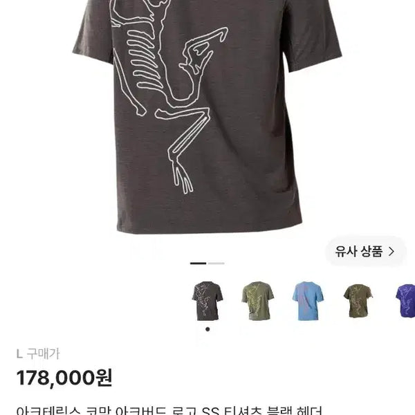 [BUNJANG] Arc'teryx Cormac Arc'teryx Bird T-shirt / 민트급) 아크테릭스 코막 아크버드