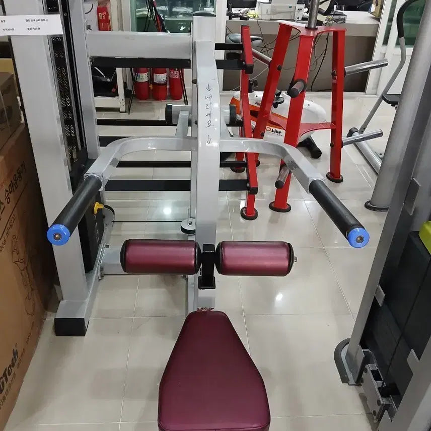 [BUNJANG] Used Sangwoo Sports Dipping Machine for Club Use / 클럽용 중고 상우스포츠 디핑머신
