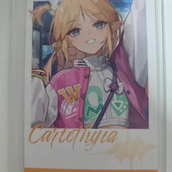 [BUNJANG] Cartisia Campus Photocard / 명조 띵조캠퍼스 카르티시아 포토카드