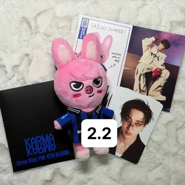 [BUNJANG] Stray Kids Changbin Dwaekki Karmar Carnival Plush Doll / 스트레이키즈 돼끼 창빈 스키주인형  카르마 세레머니앨범 인형 양도판매포카