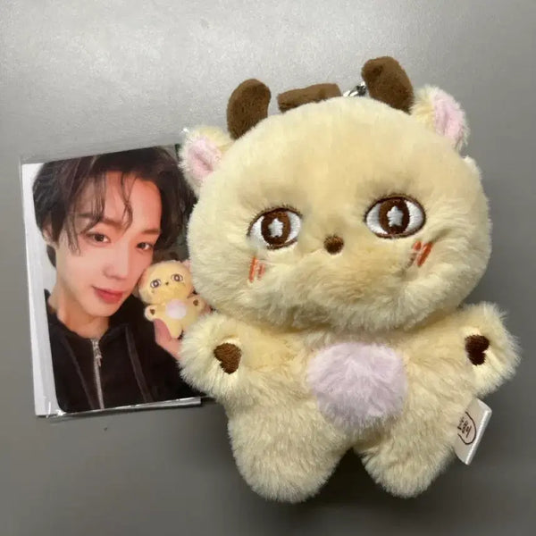[BUNJANG] Park Ji Hoon Somimi Doll Photocard Bundle Set / 박지훈 소심이 인형 판매