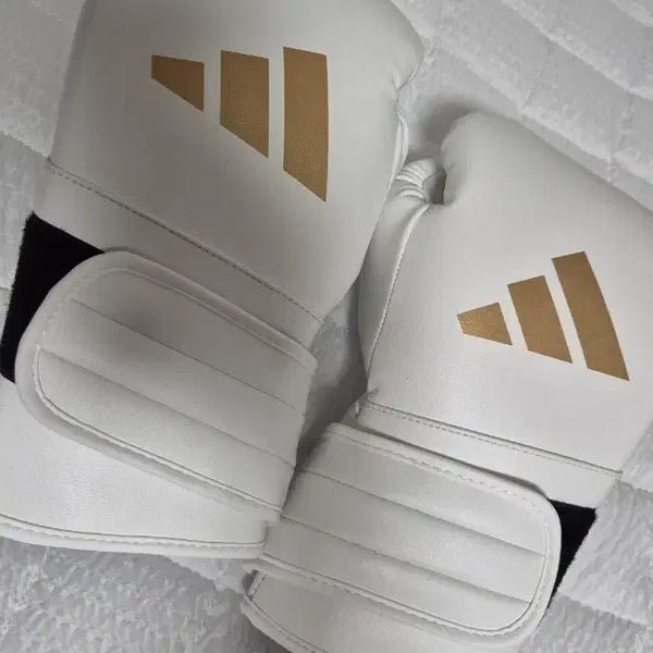[BUNJANG] Adidas Speed 501 Velcro Boxing Gloves White 16oz / 아디스피드 501 벨크로 화이트 16온스
