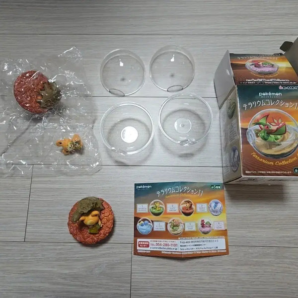 [BUNJANG] Pokemon Teddiursa Terrarium Collection Set Bundle / 포켓몬스터 깜지곰 리멘트 2세트 일괄판매