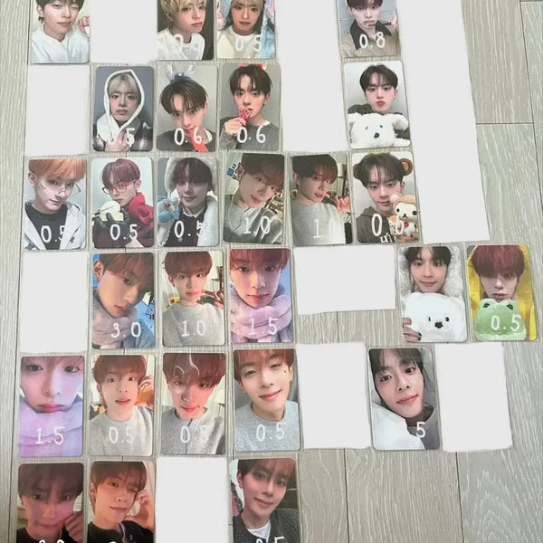 [BUNJANG] VERIVERY Kangmin POB Photocard / 베리베리 강민 유강민 포카 미공포 양도 판매