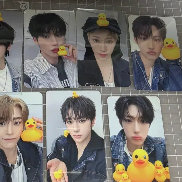[BUNJANG] ALDI1 Alphadrive1 Makestar Ori Photocard (All Members Excluding Sangwon) / 알디원 알파드라이브원 메이크스타 오리 포토카드