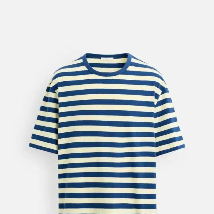 [BUNJANG] Zara Striped T-Shirt (L) / zara 스트라이프 티셔츠