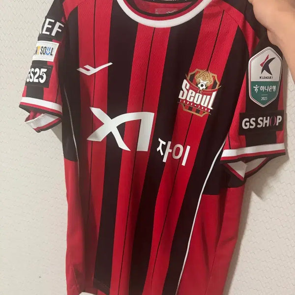 [BUNJANG] FC Seoul 2025 Season Third Kit Jersey (Size M) / FC서울 유니폼 팝니다