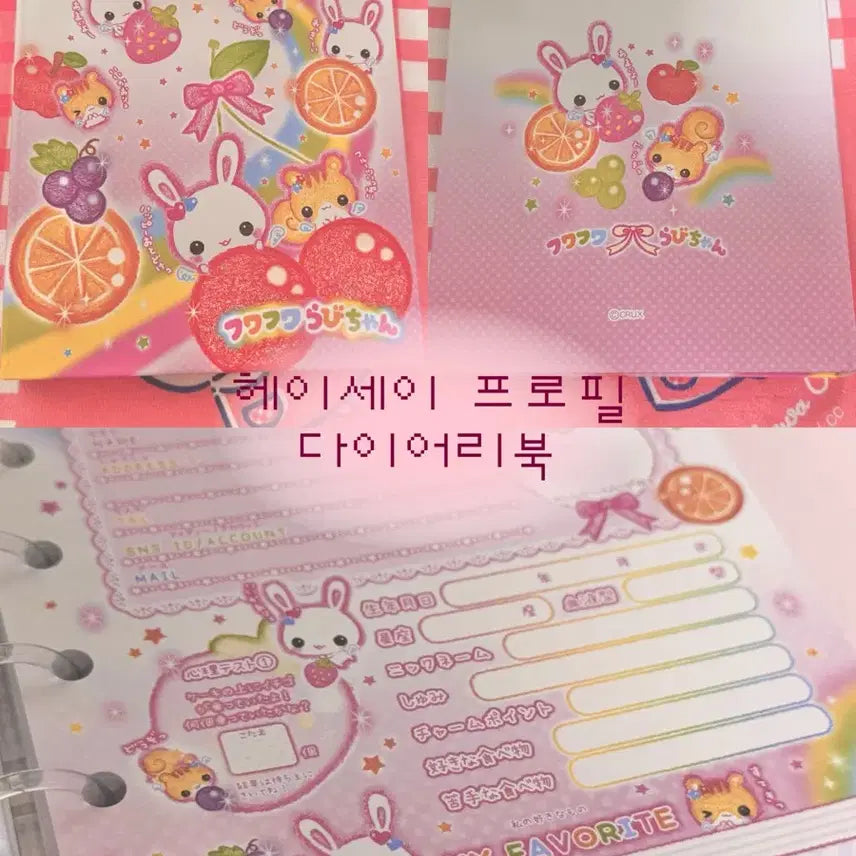 [BUNJANG] Heisei Profile Diary Book / 헤이세이 프로필 다이어리북