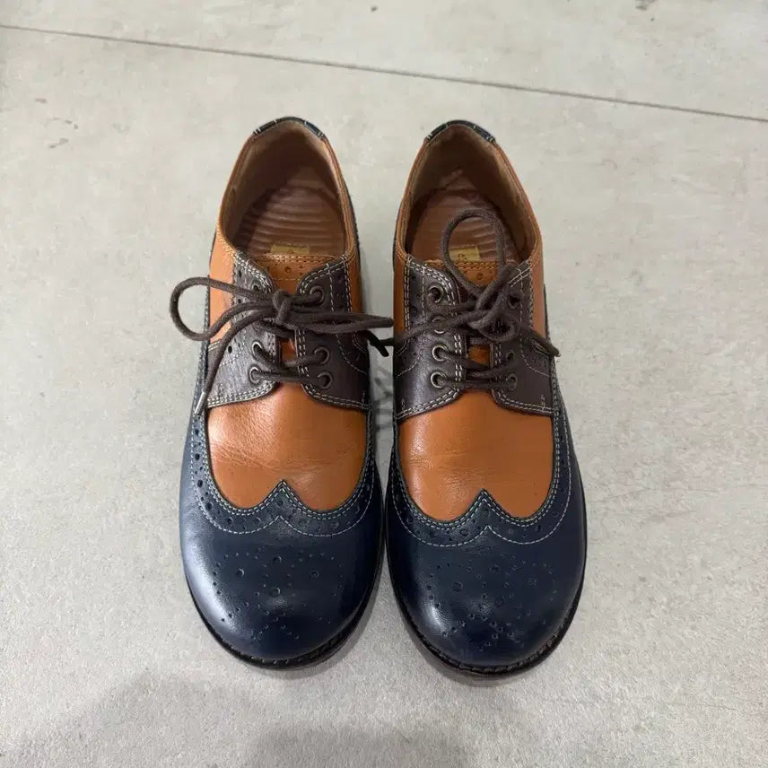 [BUNJANG] Brown/Navy Wingtip Oxford Shoes / 일본 구매 브라운/네이비 윙팁 옥스포드 슈즈