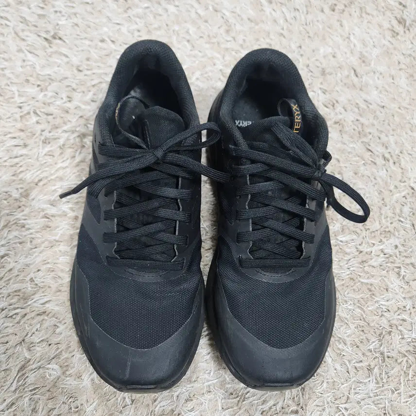 [BUNJANG] Arc'teryx Rho Van LD 3 Jacket / (빈티지박스)아크테릭스 정품  노반 LD 3