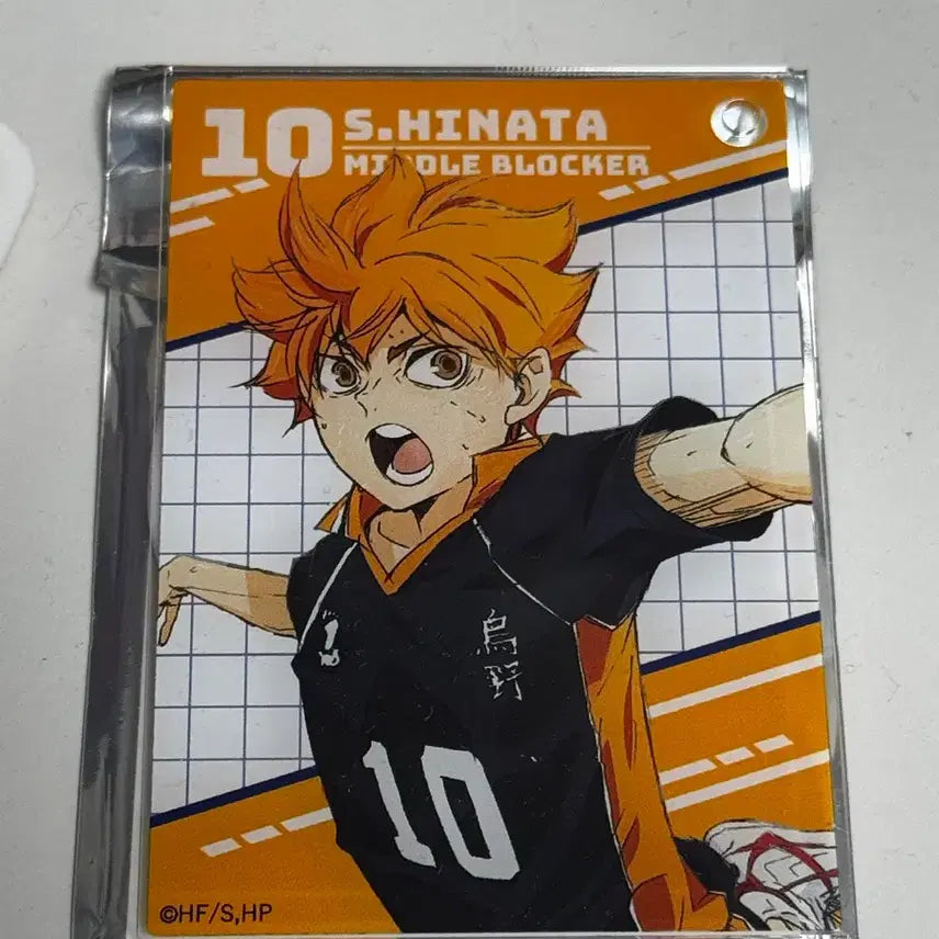 [BUNJANG] Haikyuu Hinata Acrylic Photocard / 하이큐 히나타 아크릴 포토카드