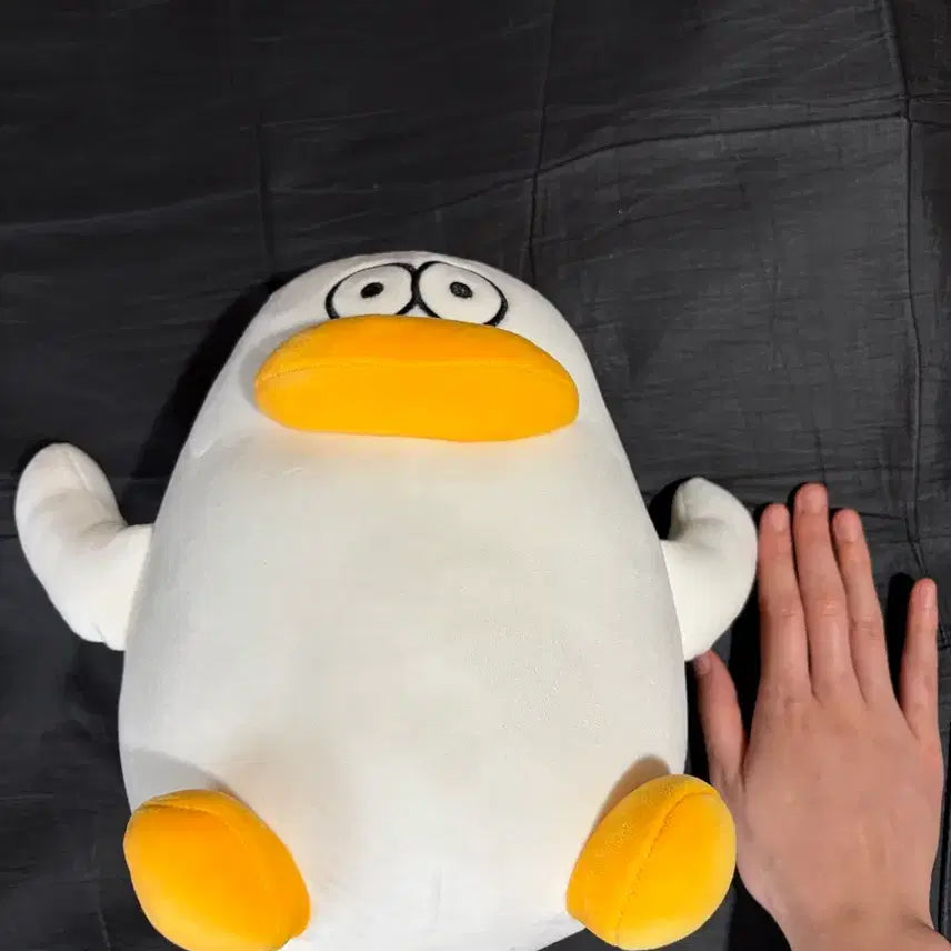 [BUNJANG] O-dungyi Soft Chewy Plush Doll / 오둥이 말랑 쫀득 인형
