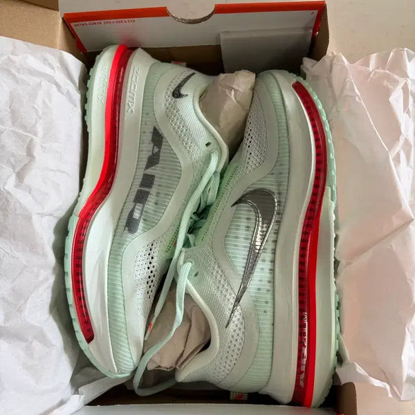 [BUNJANG] Nike Pegasus Premium Running Shoes 280 / 나이키 페가수스 프리미엄 런닝화 280