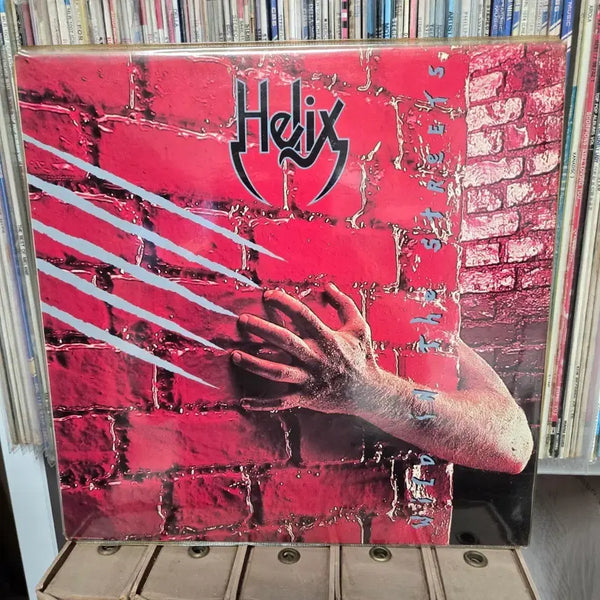 [BUNJANG] Helix Vinyl Record / 헬릭스 lp판