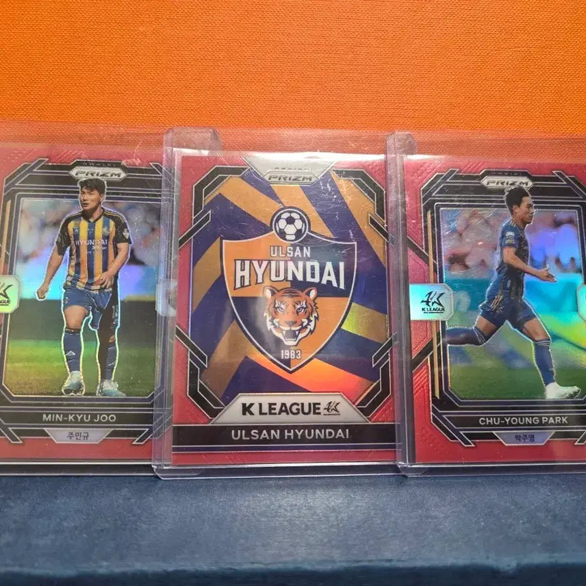 [BUNJANG] Ulsan Hyundai FC Limited Edition Team Logo / k리그 울산 현대 한정 팀로고 등
