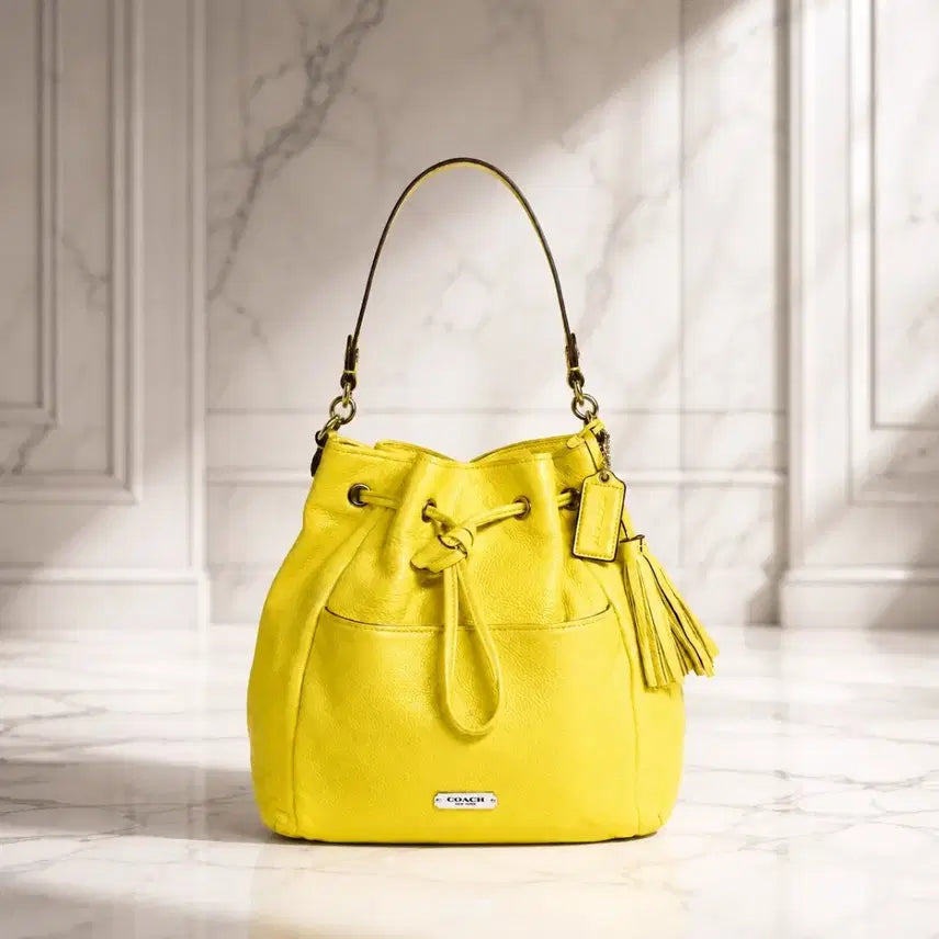 [BUNJANG] COACH Lemon Bucket Bag / COACH 코치 레몬 버킷백