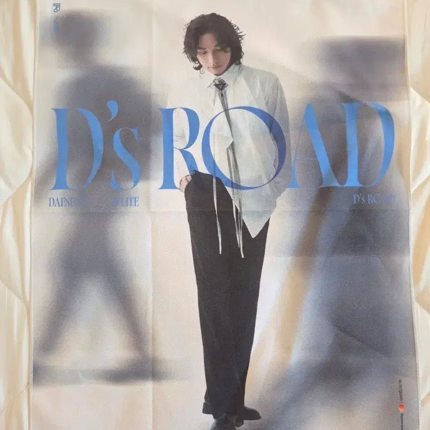 [BUNJANG] BIGBANG Daesung D's Road Seoul MD Fabric Poster / 대성 D's Road 천 포스터 (현물0)