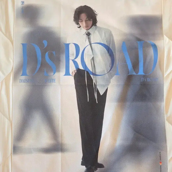 [BUNJANG] BIGBANG Daesung D's Road Seoul MD Fabric Poster / 대성 D's Road 천 포스터 (현물0)