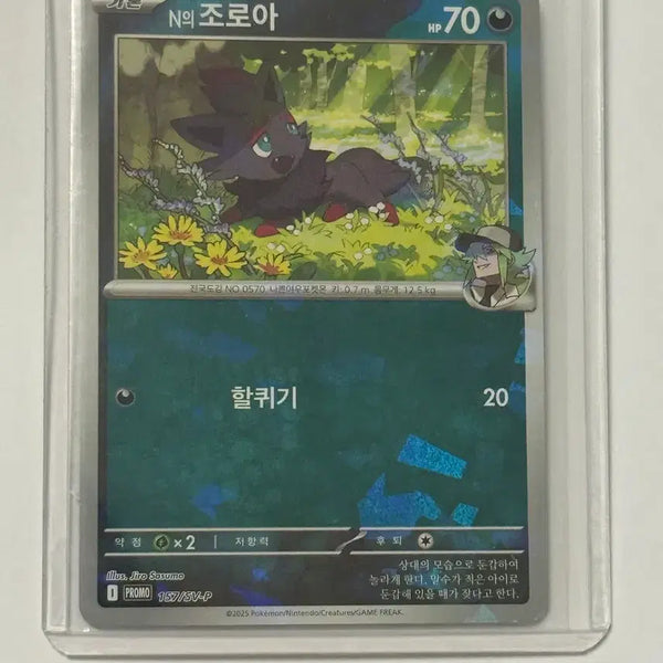 [BUNJANG] Pokemon Zoroark Promo Card / 포켓몬스터 n의 조로아 프로모 카드