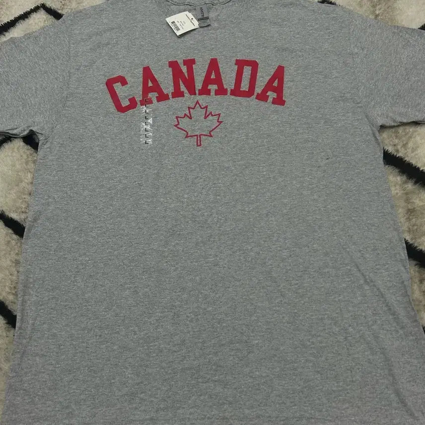 [BUNJANG] Gildan Heavy Cotton T-Shirt - Gray, Size L / [L]Gildan. CANADA 헤비코튼 반팔/그레이