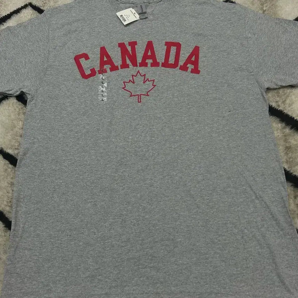 [BUNJANG] Gildan Heavy Cotton T-Shirt - Gray, Size L / [L]Gildan. CANADA 헤비코튼 반팔/그레이