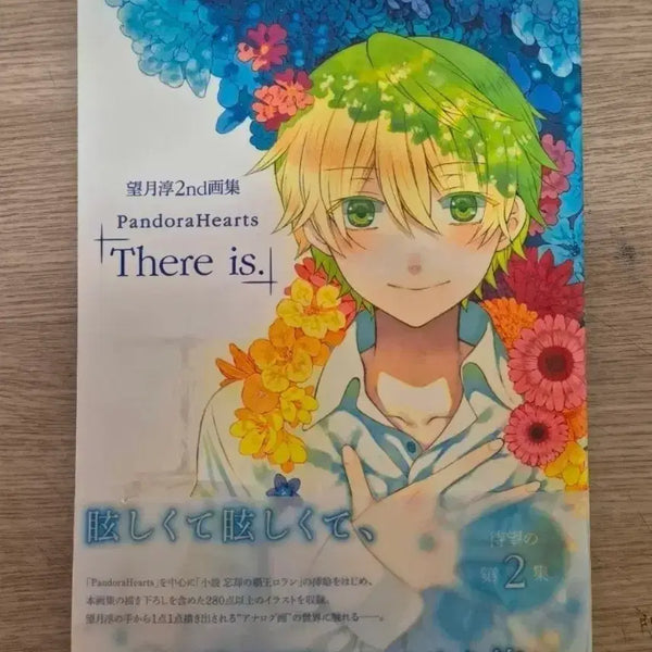[BUNJANG] Pandora Hearts Mochizuki Jun Artbook Collector's Edition / 판도라하츠 모치즈키 준 화집 there is 소장본