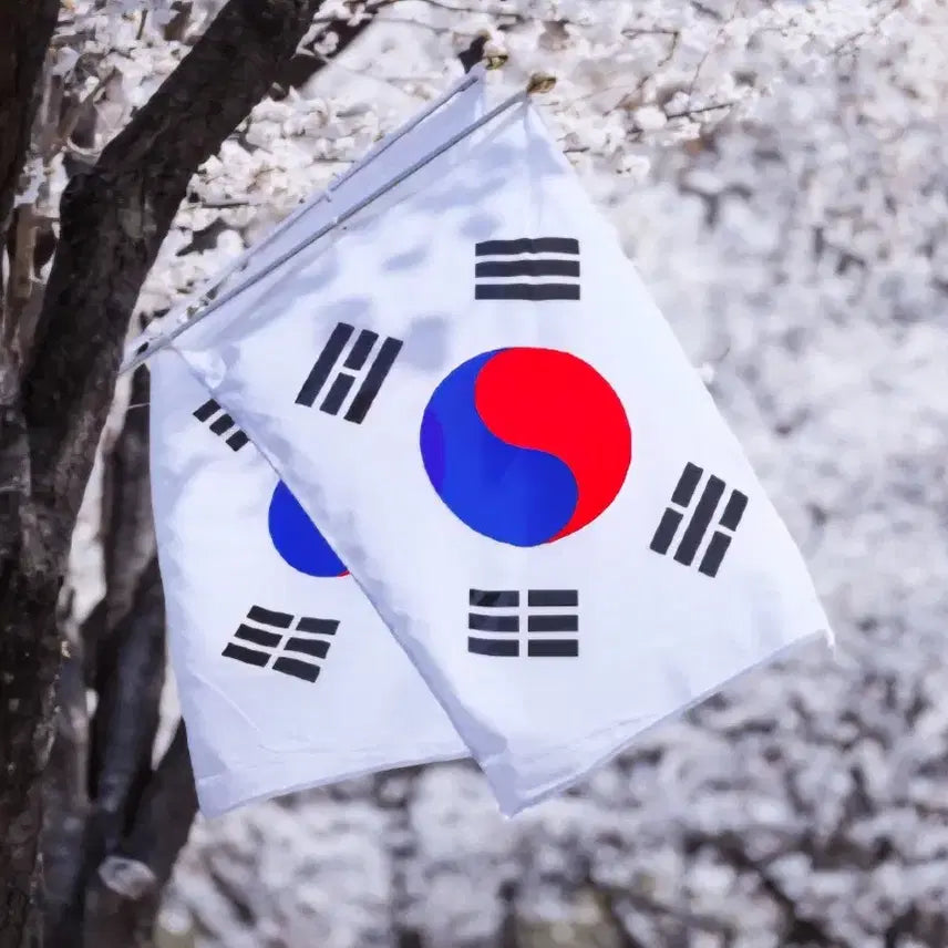 [BUNJANG] Korea Minting Corporation 100th Anniversary of Provisional Government Establishment Sterling Silver Medal / 2019 한국조폐공사 대한민국 임시정부수립 100주년 기념 은메달