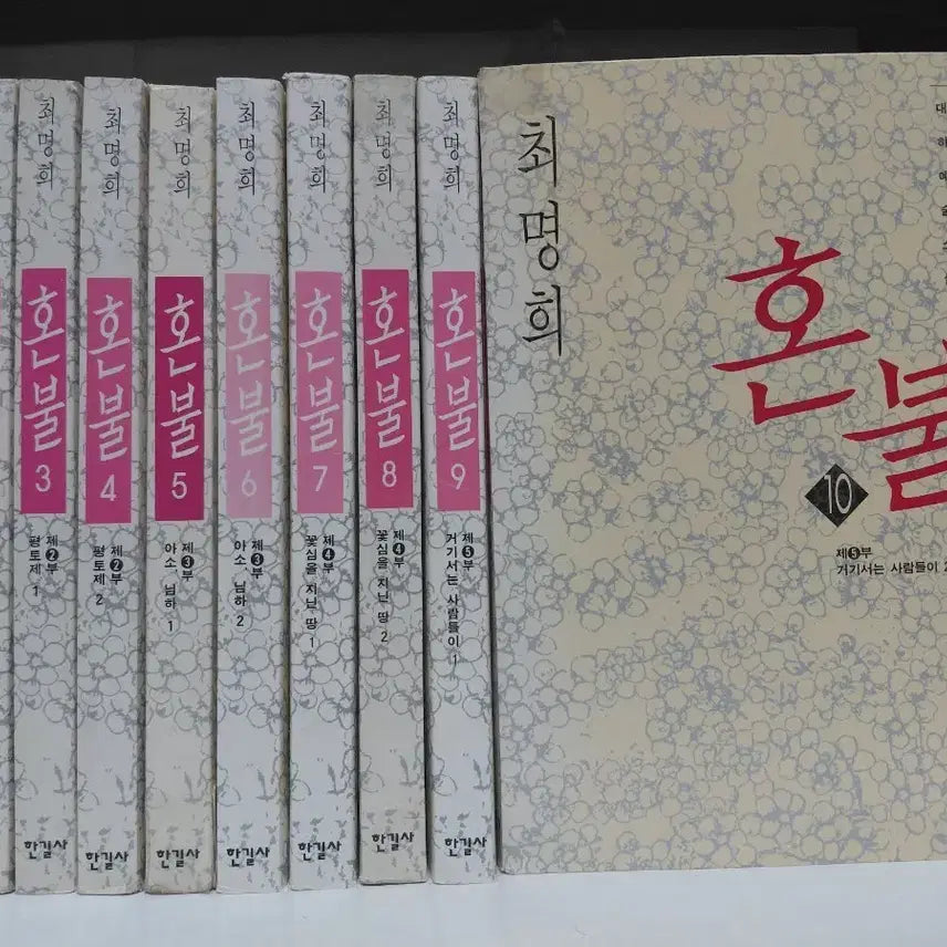 [BUNJANG] Choi Myung Hee "Honbul" Complete Collection Volumes 1-10 / 최명희 작가 혼불 전집 1~10권,1997,색바램 외 양호함