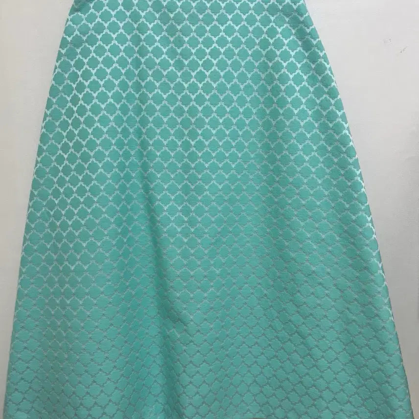 [BUNJANG] Vanness Skirt Medium New / 바네스커트 미듐 새상품