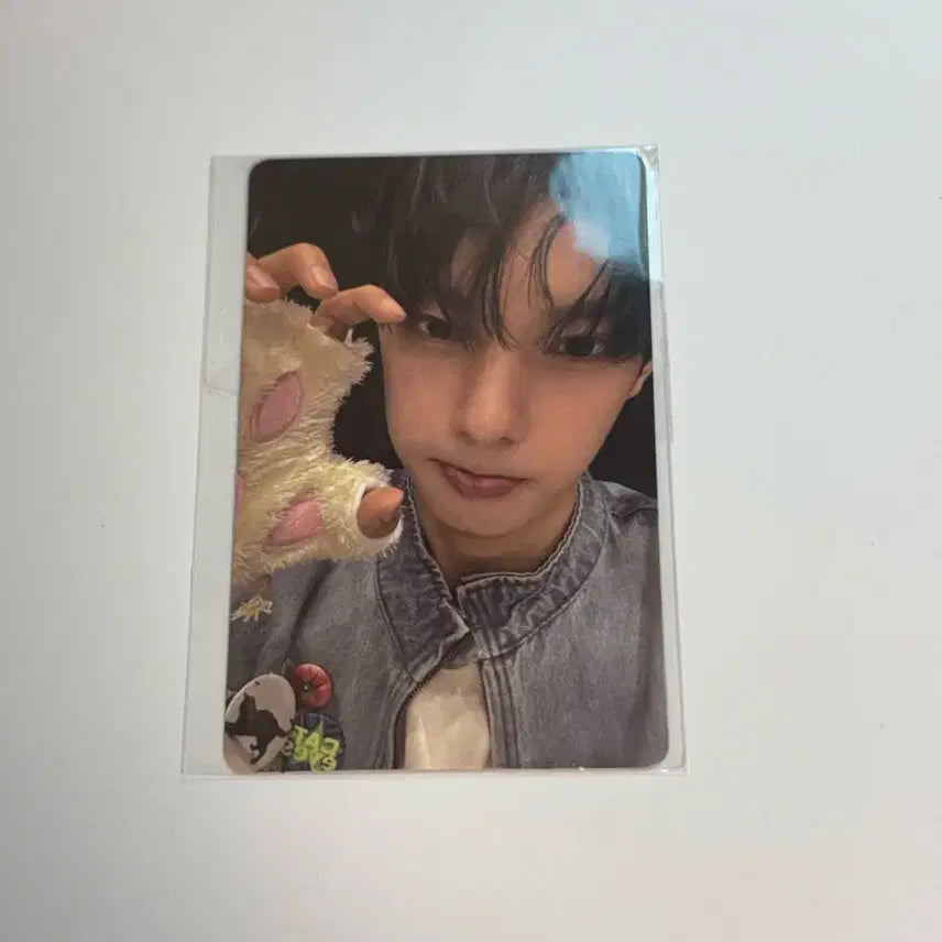 [BUNJANG] Choi Rip-woo Bofl Exhibition Korea Version Photocard / 최립우 보플 전시회 한국버전 포카