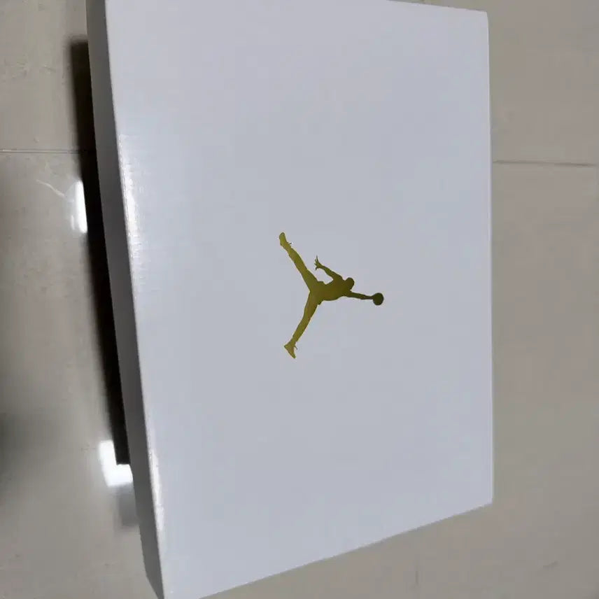 [BUNJANG] Nike Air Jordan 6 Retro (240mm) / 나이키 에어 조던 6 레트로 240mm