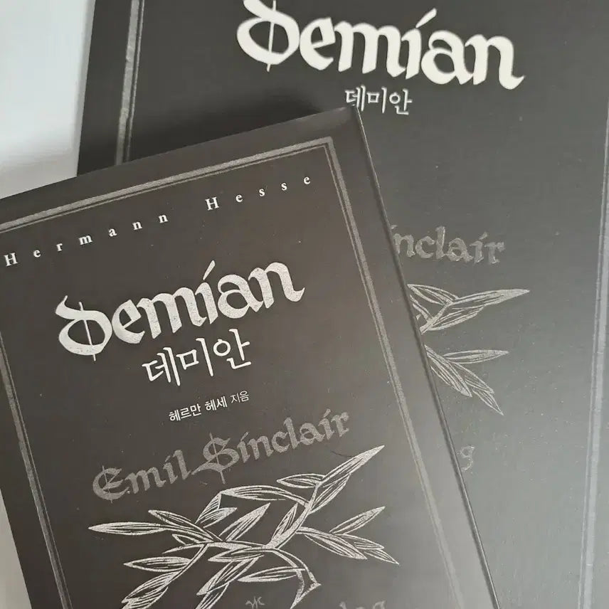 [BUNJANG] Hermann Hesse Demian Book and Notebook Set / 헤르만 헤세 데미안 책 ,노트 세트