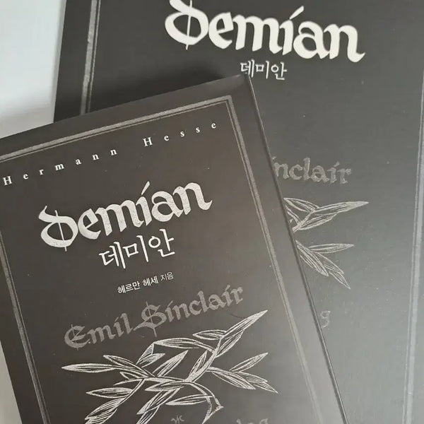 [BUNJANG] Hermann Hesse Demian Book and Notebook Set / 헤르만 헤세 데미안 책 ,노트 세트