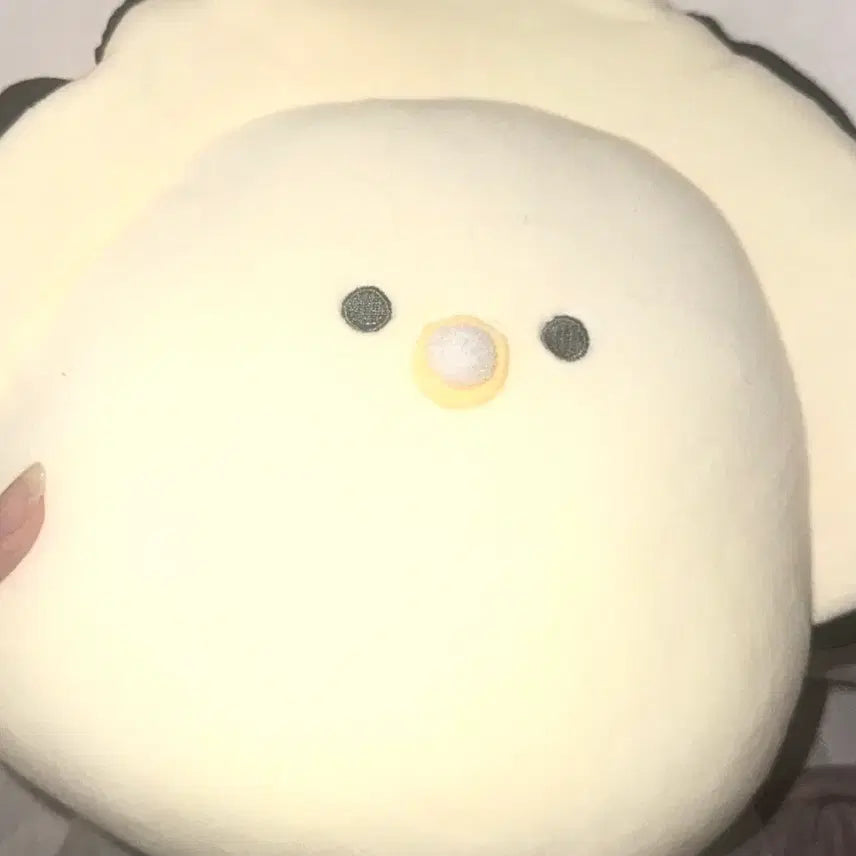 [BUNJANG] ZB1 Sung Han Bin Handmade Item 'Sae-gul' Dolphin Plush Cushion / 제베원 성한빈 손민수템 생굴 인형 쿠션 일본 판매양도포카럭드키링