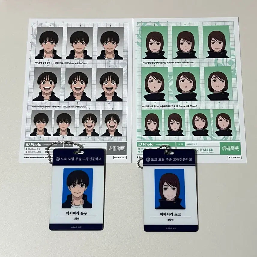 [BUNJANG] Jujutsu Kaisen Occult and Demonic Tale Shoko Ieiri & Haibara Yu Haibara ID Card Keychain Set / 주술회전 팝업 주술회전 id카드 키링 회옥옥절 쇼코, 하이바라