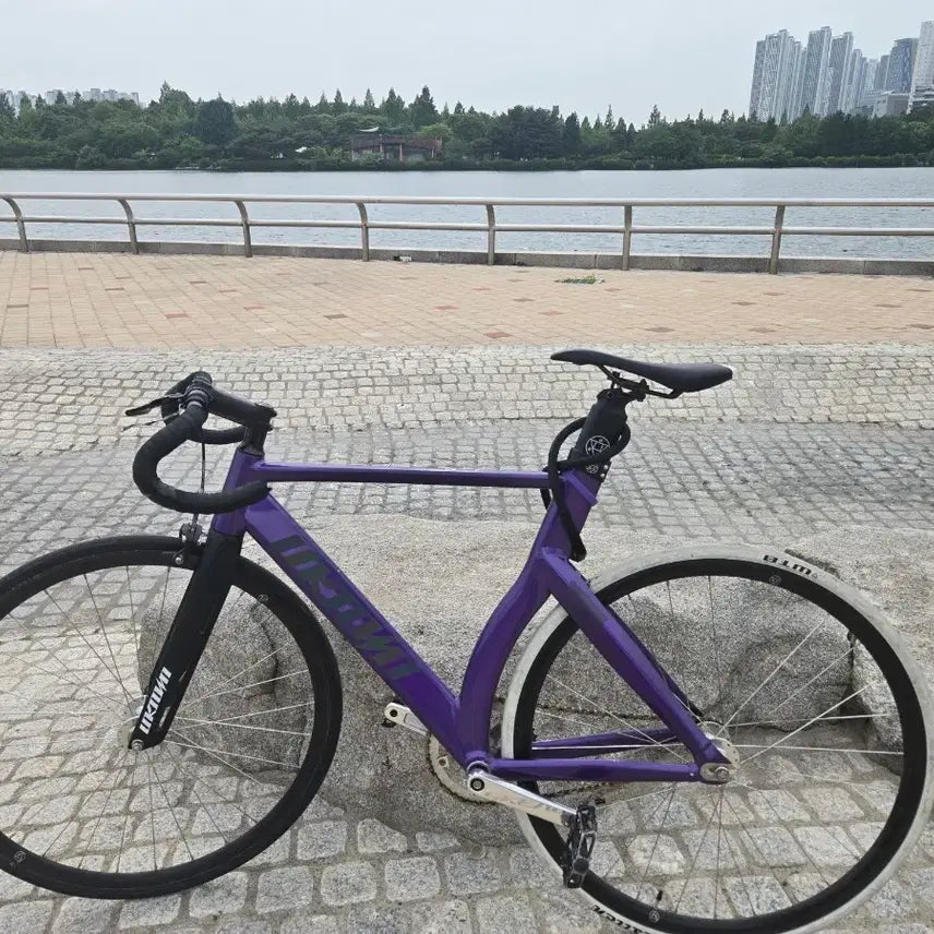 [BUNJANG] Unknown LV3 DC Edition Bicycle / 판완