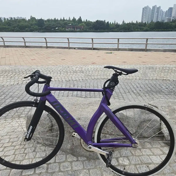 [BUNJANG] Unknown LV3 DC Edition Bicycle / 판완