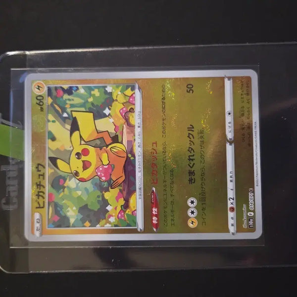 [BUNJANG] Pokemon Card Strawberry Chu / 급..포켓몬카드 딸기츄 등급용