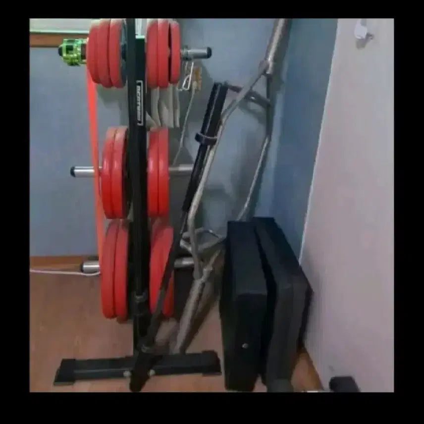 [BUNJANG] Strength Equipment Bundle (Trap Bar, Cable Bar, Barbell Rack, Weights, Dumbbells) / 운동기구 싸게 팝니당..(직거래만)