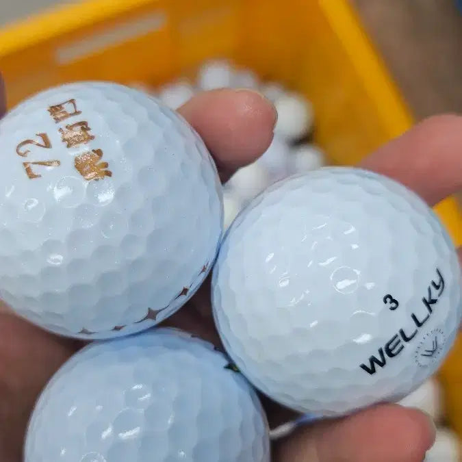[BUNJANG] Mixed Grade A Used Golf Balls (60 Balls) / 깨끗한 로스트볼1봉오천원